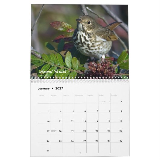Maandelijkse kalender voor tuinvogels (Jan 2027)