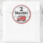 Maandelijkse mijlpaal Stickers - Baby Maand tot Ma (Tas)