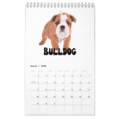 Maandelijkse wandkalender voor Puppies bevestigen Kalender (Mar 2026)