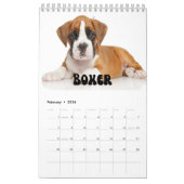 Maandelijkse wandkalender voor Puppies bevestigen Kalender (Feb 2026)