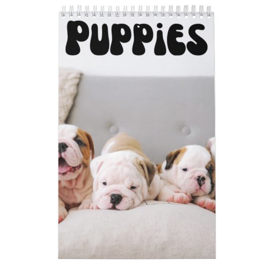 Maandelijkse wandkalender voor Puppies bevestigen Kalender (Hoes)