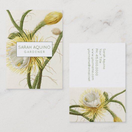 maanlicht-cactus visitekaartje (Voorkant / Achterkant)