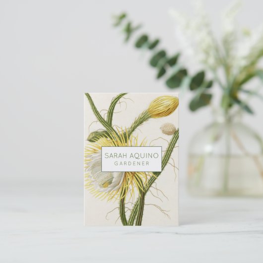 maanlicht-cactus visitekaartje (Staand voorkant)