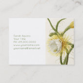 maanlicht-cactus visitekaartje (Achterkant)