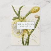 maanlicht-cactus visitekaartje (Voorkant)