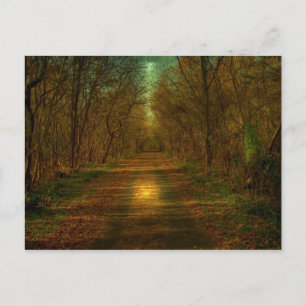 maanlicht: Lynchburg City Trails Briefkaart