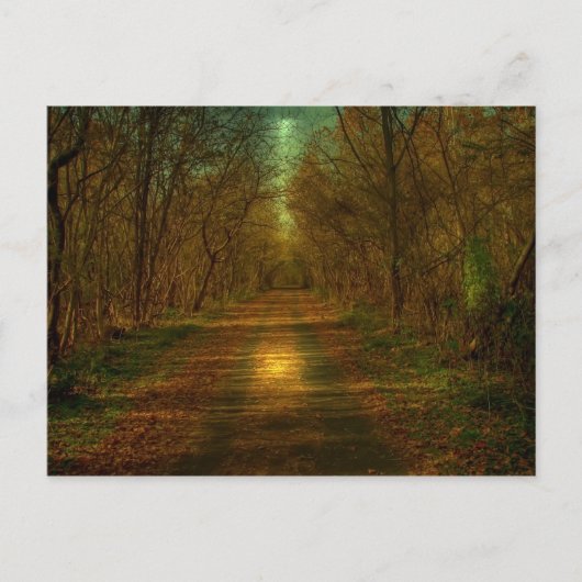 maanlicht: Lynchburg City Trails Briefkaart (Voorkant)