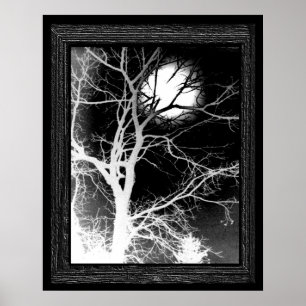 Maanlicht Poster