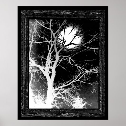 Maanlicht Poster (Voorkant)
