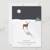 Maanlicht rendiersneeuw (Voorkant)