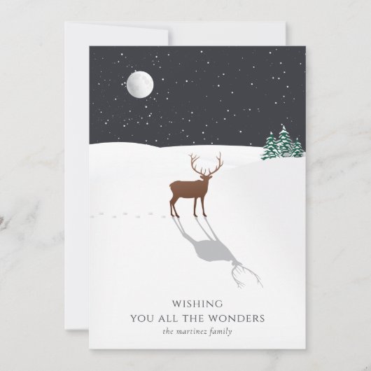 Maanlicht rendiersneeuw (Voorkant)