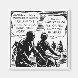 maanlicht ritten magneet