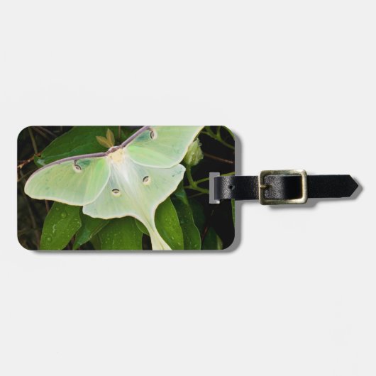 Maanmot op Carnaby Clematis Bagagelabel (Voorkant horizontaal)