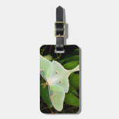Maanmot op Carnaby Clematis Bagagelabel (Voorkant verticaal)