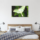 Maanmot op Carnaby Clematis Canvas Afdruk (Insitu (Slaapkamer))