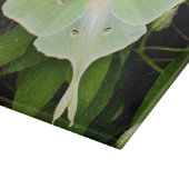 Maanmot op Carnaby Clematis Snijplank (Hoek)