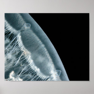 Maanopkomst - Kunstprint Poster