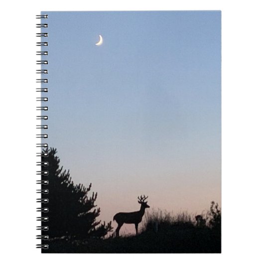 Maanopkomst Spiraal Journal Notitieboek (Voorkant)