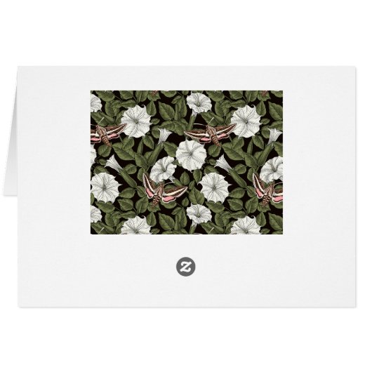 Maansbloemen en sfinxvlinders (Achterkant Horizontaal)