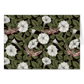 Maansbloemen en sfinxvlinders (Voorkant Horizontaal)