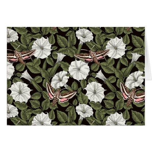 Maansbloemen en sfinxvlinders (Voorkant Horizontaal)