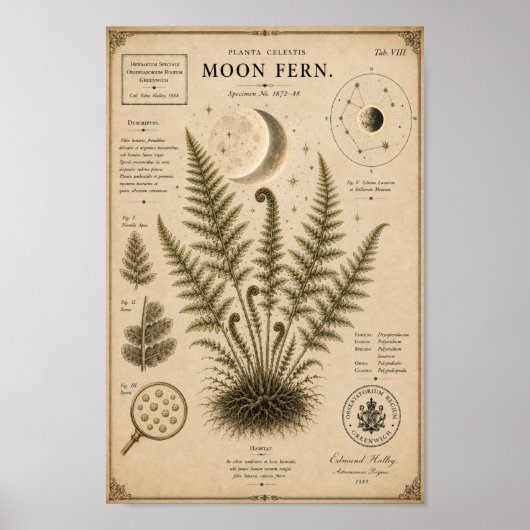 Maanvaren Victoriaans Botanisch Museum Print (Voorkant)