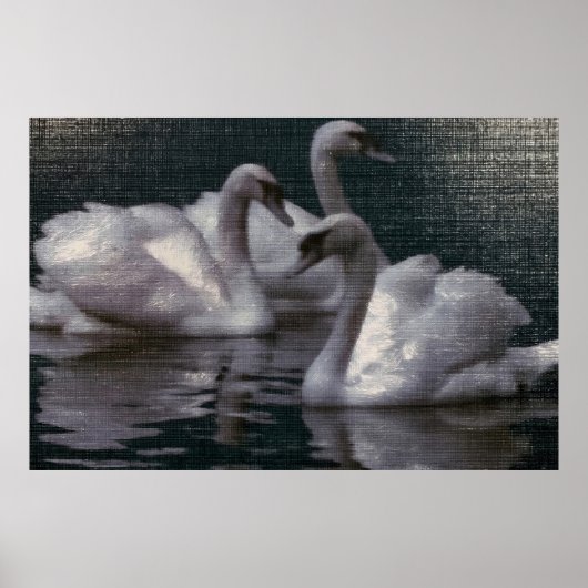 Maanverlicht Zwanenmeer Poster (Voorkant)