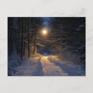 Maanverlichte Besneeuwde Bospad Winter Schitterend Feestdagenkaart