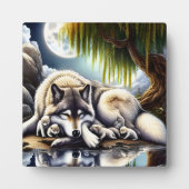 Maanverlichte sereniteit een sluimerende wolf fotoplaat (Voorkant)