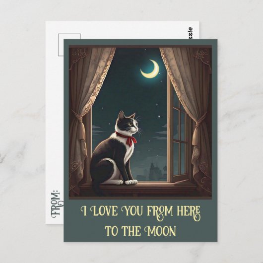 " MAANVERLICHTE WHISKERS " BRIEFKAART (Voorkant / Achterkant)