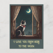 " MAANVERLICHTE WHISKERS " BRIEFKAART (Voorkant)