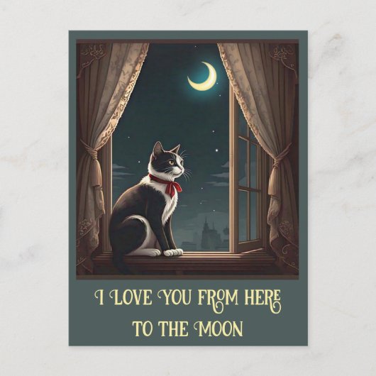 " MAANVERLICHTE WHISKERS " BRIEFKAART (Voorkant)