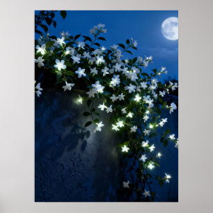 Maanverlichte Witte Bloemen Wingerd Kunst Poster