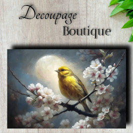 Maanverlichte Zangvogel Gele Vogel Decoupage Tissuepapier