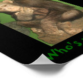 Maap, wie is je aap? poster (Hoek)