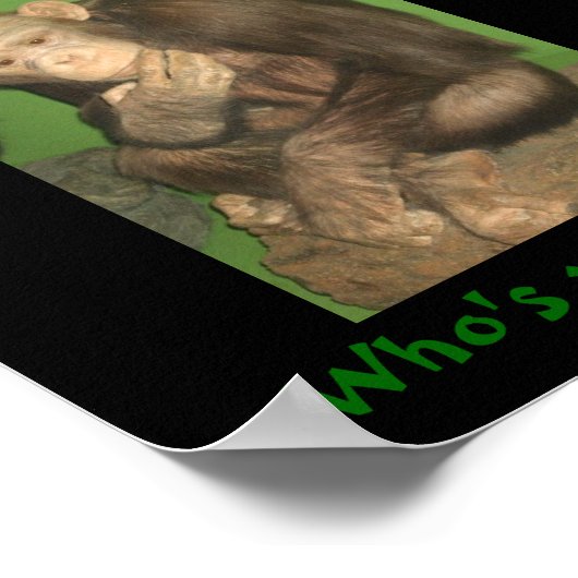 Maap, wie is je aap? poster (Hoek)