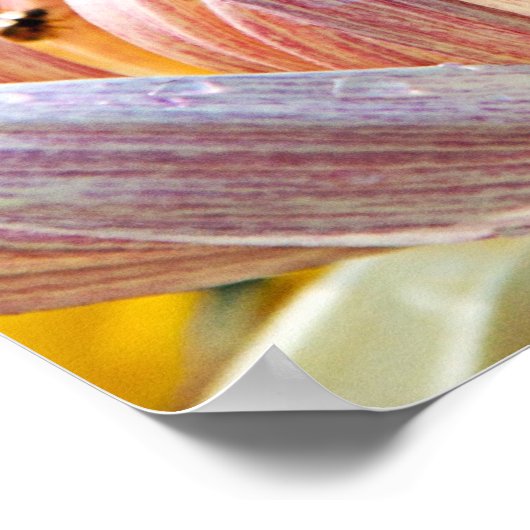 Maar de vruchten van de Geest Poster (Hoek)