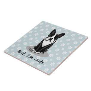 Maar ik ben Cute Boston Terrier (zwart) Dog Funny Tegeltje