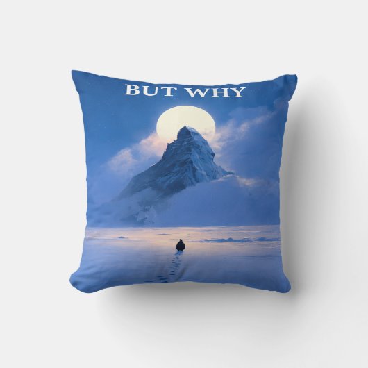 Maar Waarom Kussensloop Minimal Quote Esthetiek Kussen (Voorkant)