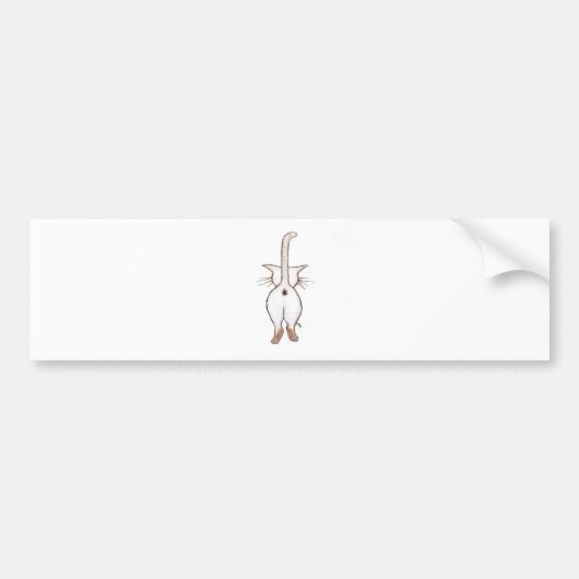 MAAR WAT? BUMPERSTICKER (Voorkant)