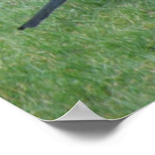 Maart afdrukken poster (Hoek)