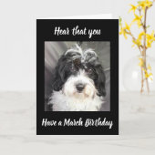 ***MAART BIRTHDAY*** WIST NAAR EEN SPECIALE PERSOO KAART (Gele Bloem)