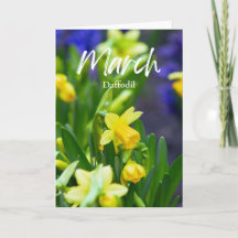 Maart Geel Daffodil Geboorte Maand Bloem Verjaarda