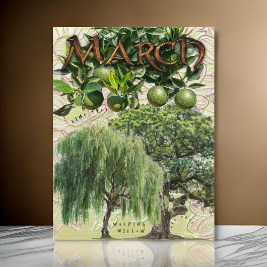 Maart Maand Trees Weeping Willow Limoen Oak Briefkaart
