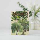 Maart Maand Trees Weeping Willow Limoen Oak Briefkaart (Staand voorkant)