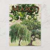 Maart Maand Trees Weeping Willow Limoen Oak Briefkaart (Voorkant)