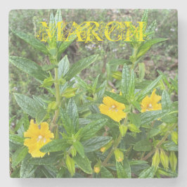 Maart Monkeybloemen Stenen Onderzetter