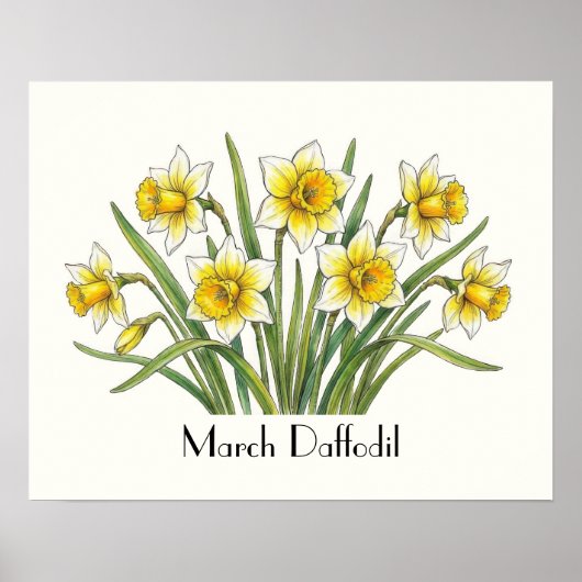 Maart Narcis Bloemen Poster (Voorkant)