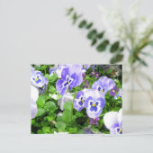 Maart Pansies Briefkaart (Staand voorkant)