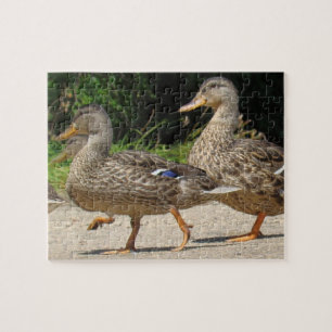 Maart van de Eenden Legpuzzel